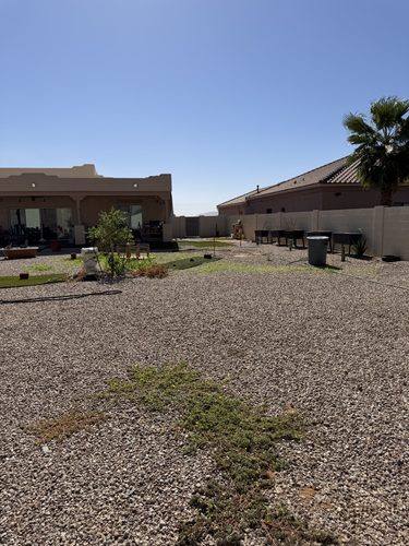 Bare gravel yard with scattered weeds before landscaping