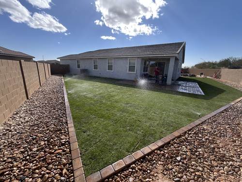 Newly installed backyard turf with irrigation running