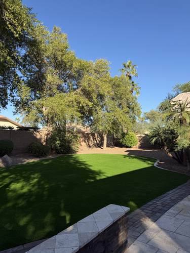 Natural Grass to Artificial Turf Conversion — after, photo 1