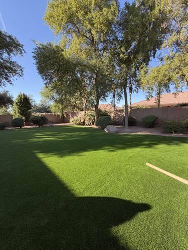 Natural Grass to Artificial Turf Conversion — after, photo 5