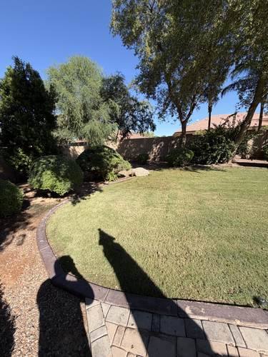 Natural Grass to Artificial Turf Conversion — before, photo 1