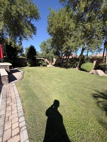 Natural Grass to Artificial Turf Conversion — before, photo 2