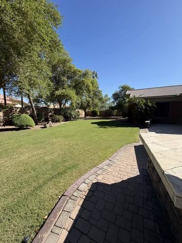 Natural Grass to Artificial Turf Conversion — before, photo 3
