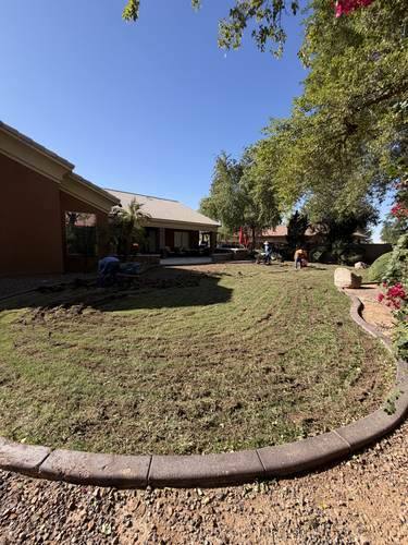 Natural Grass to Artificial Turf Conversion — before, photo 4