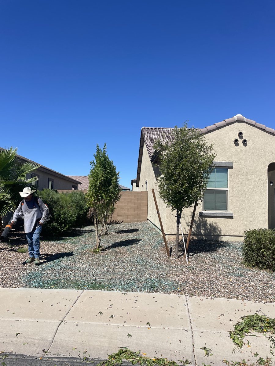 Crew member blowing clippings and debris off a gravel front yard and sidewalk