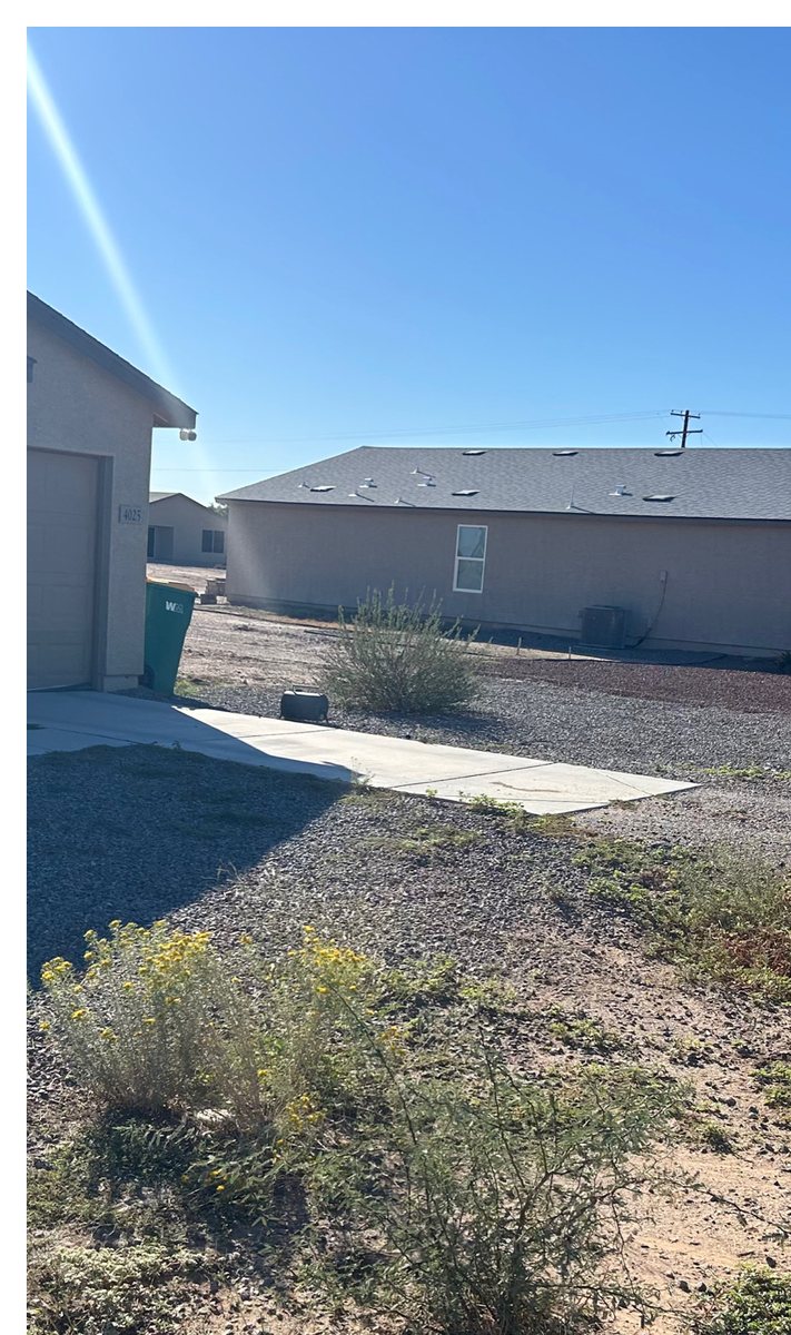 Weeds growing through gravel and dirt beside a driveway before treatment