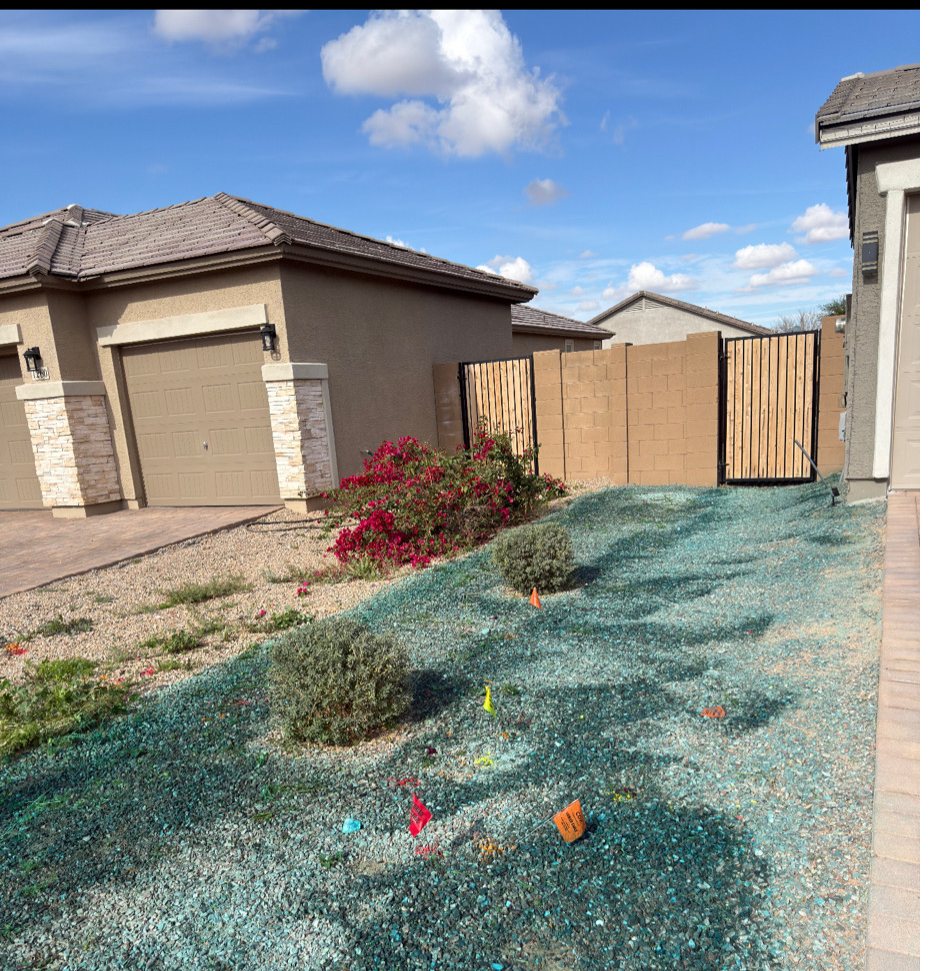 The same slope after a dyed pre-emergent application showing full coverage
